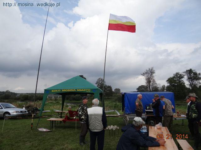 SIECI W BIAŁY DZIEŃ