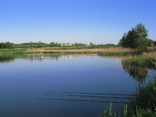 Łowisko Kormoran w Sulęcinie
