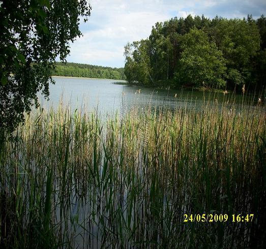 Jezioro Łąkie - Gościm