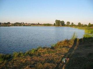 Niedźwiadek - zalew