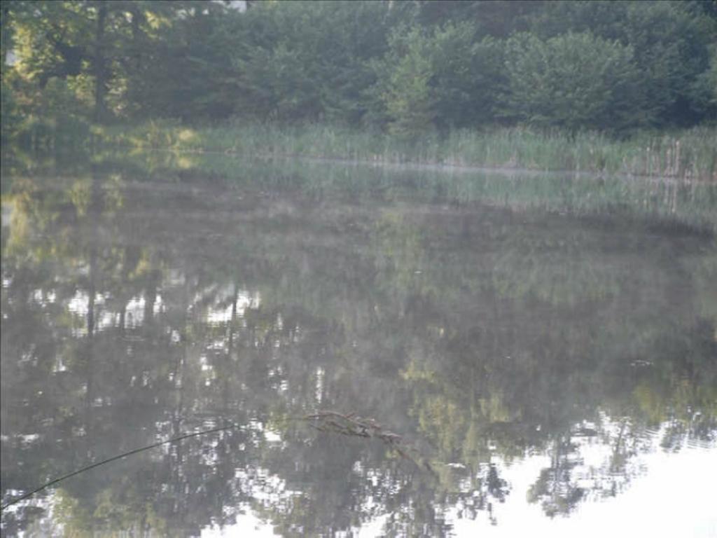 Grobla staw nr łowiska 204