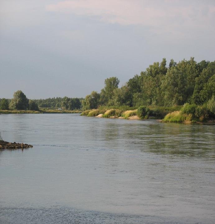 Rzeka Odra na wysokości Wilkowa