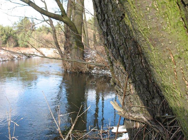 Rzeka Luciąża