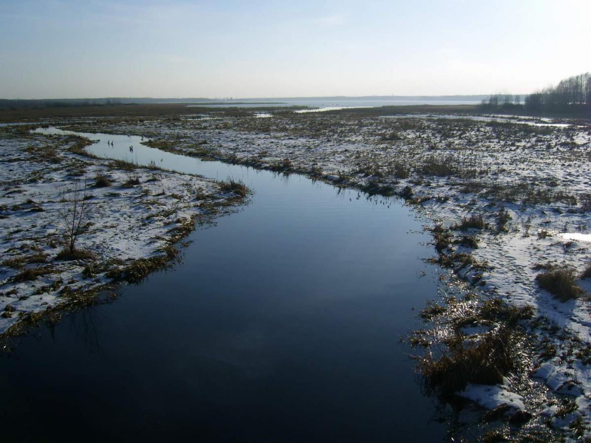 Kozłowa Góra
