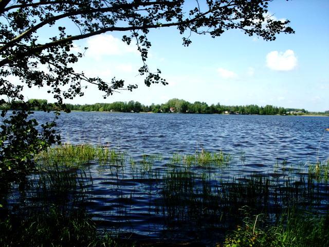 Łowiska ryb drapieżnych(kwiecień, maj)