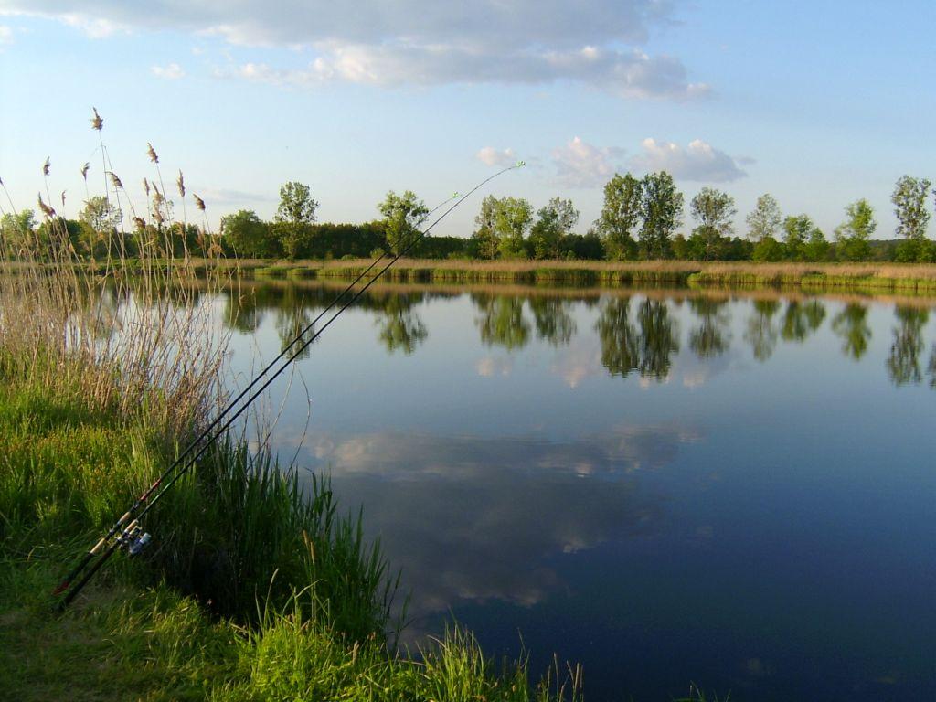 Rzeka Odra w Prężycach