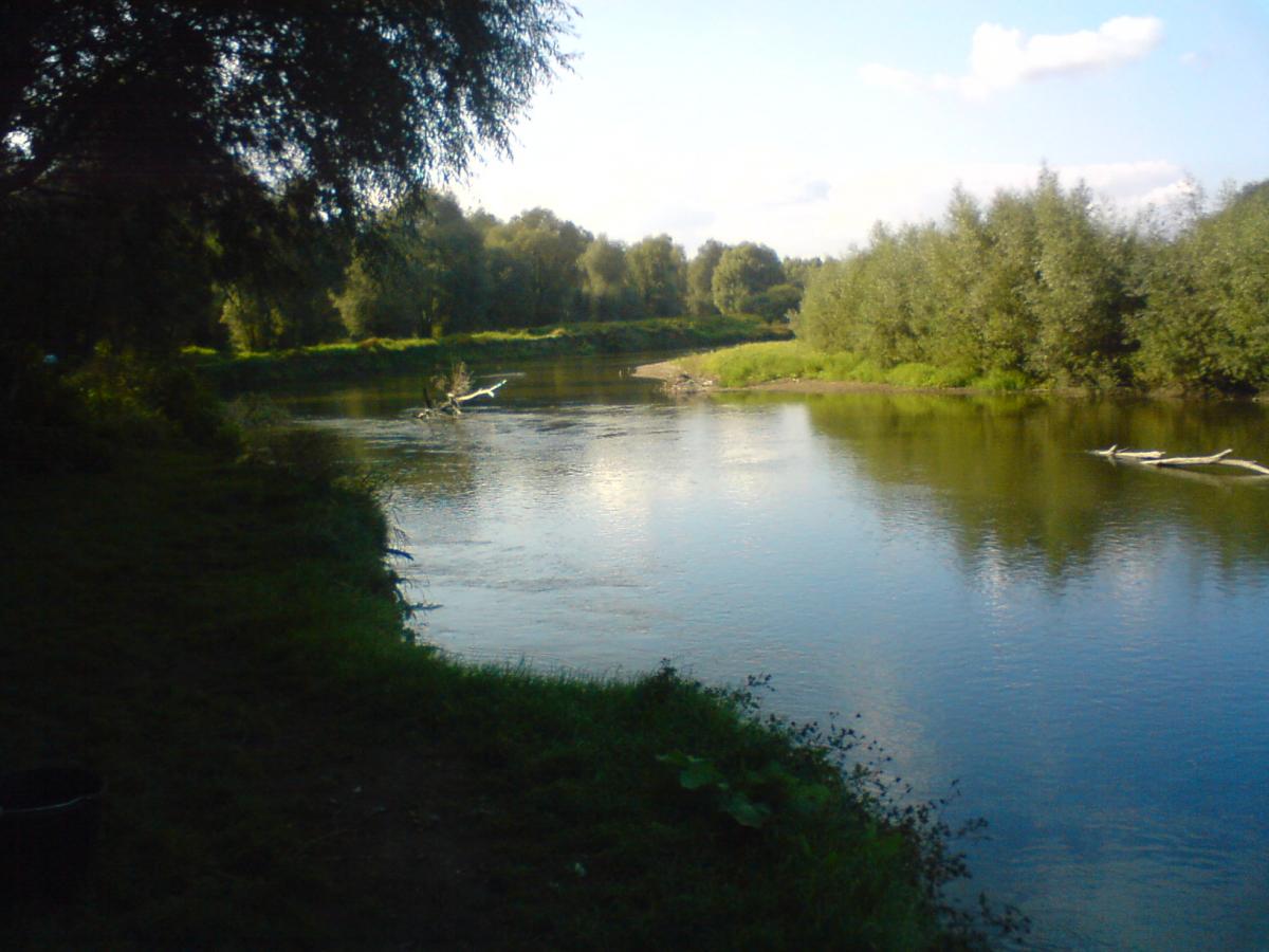 Niesamowity połów