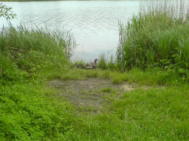 Jezioro Winiary