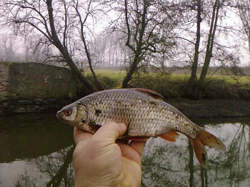 Odskocznia od spinningu