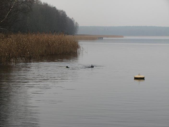 Jezioro Niesłysz