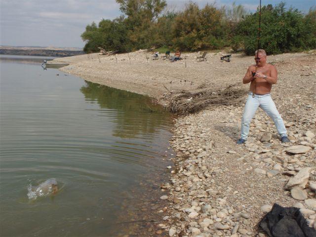 Rekordowe sumy i karpie z Ebro