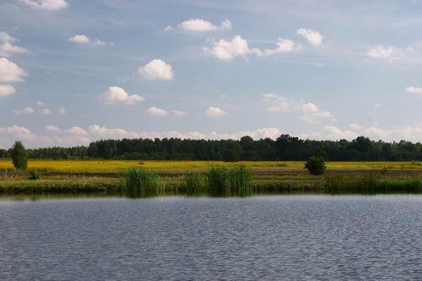 Stawy Miłków