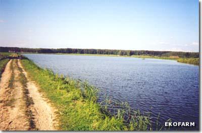 Stawy Hodowlane Grzegorzewice