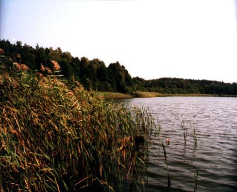 Łowisko nad Solczykiem
