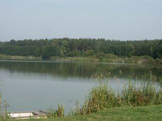 Gościniec Wilcze Doły