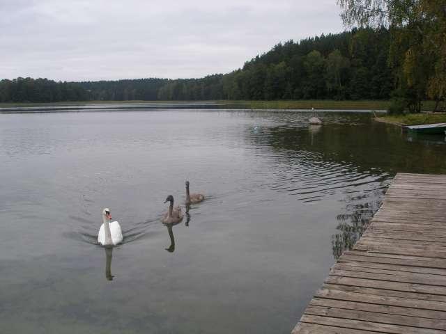 Wędkarskie zmagania - Mazury 2008