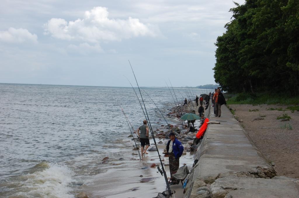 Falochron i plaża w Rozewiu.
