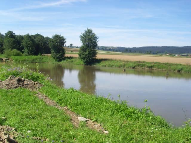 Staw Dolnik Rybaczówka