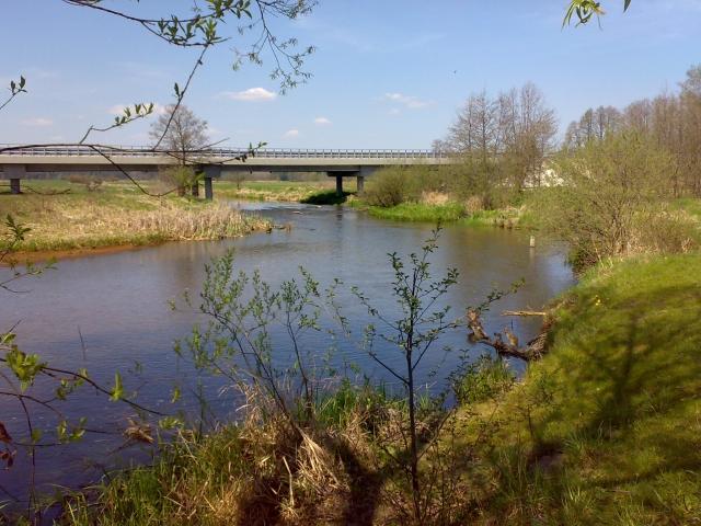 Rzeka Iłżanka