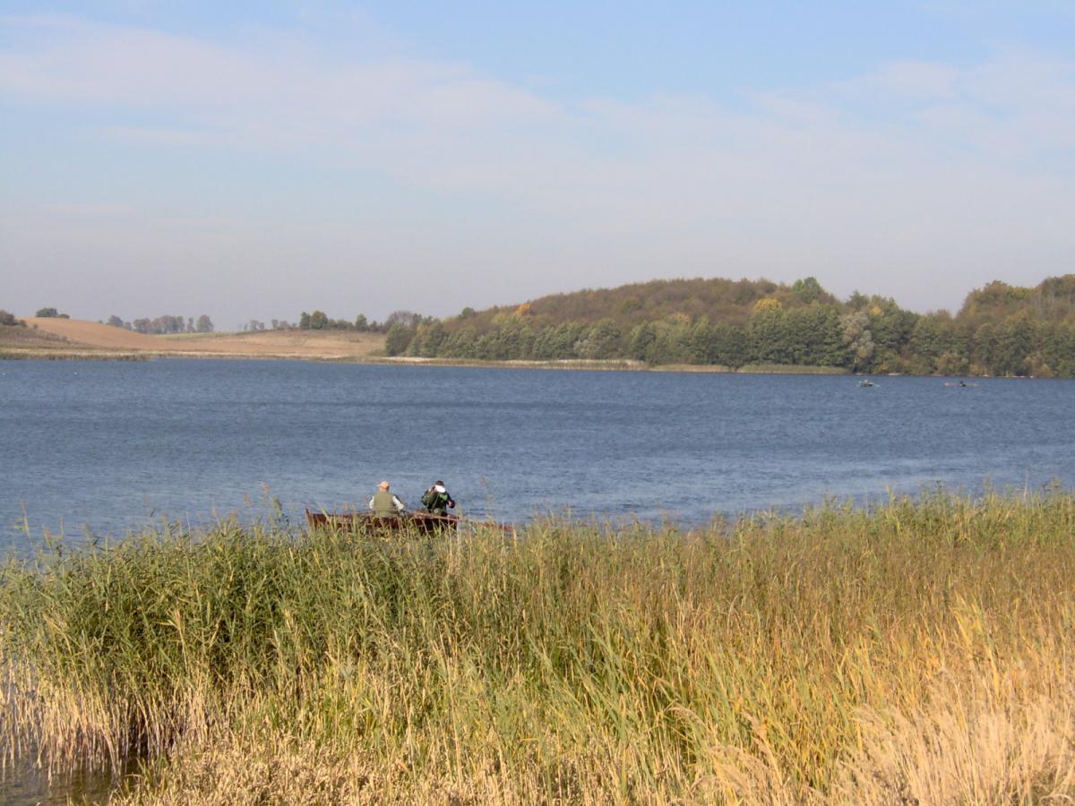 Jezioro Sowica .
