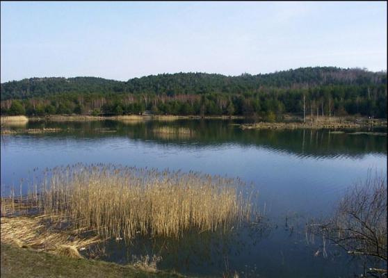 Zbiornik Dzibice
