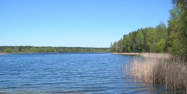 Jezioro Mikaszewo
