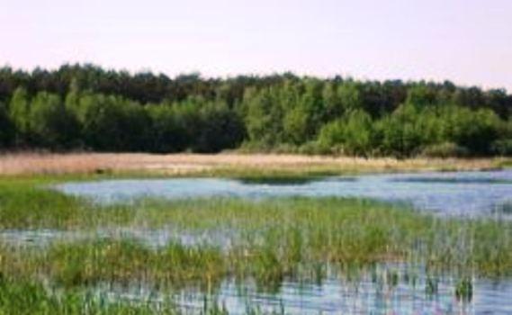 Jezioro Białe Sosnowickie 