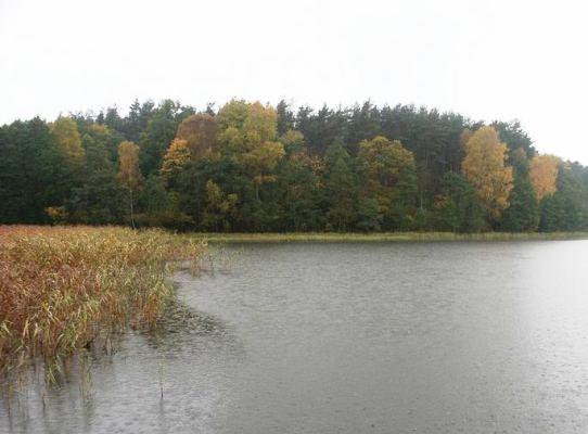 Jezioro Białe -Tuchola