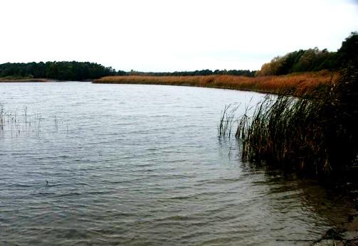Jezioro Jezuickie Duże.