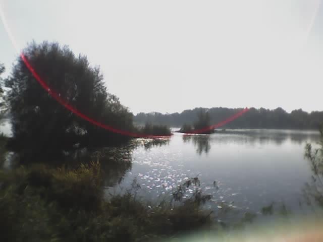 Wisła - Drwały k. Wyszogrodu