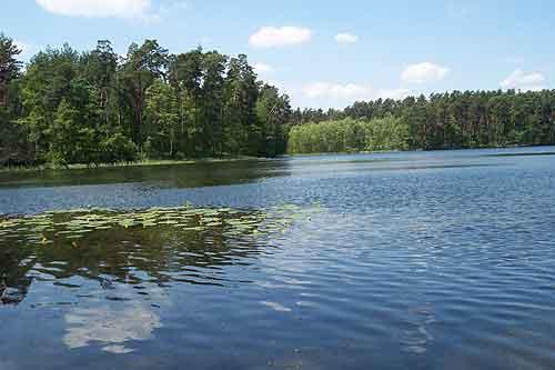 Jezioro Dębno