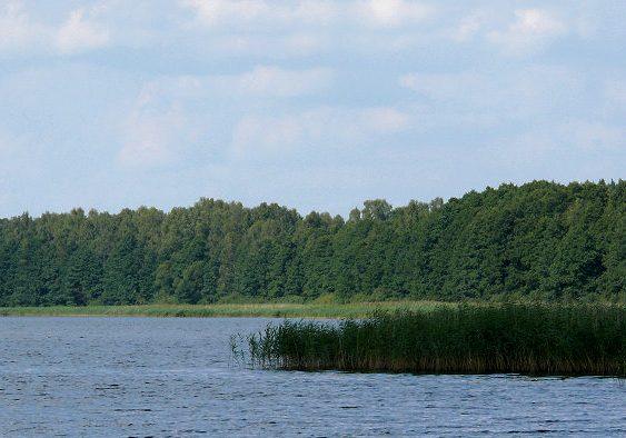 Jezioro Brajnickie