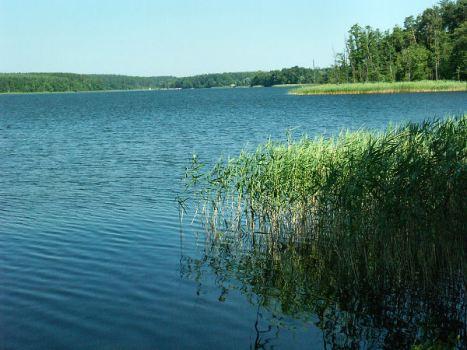 Jezioro Bachotek