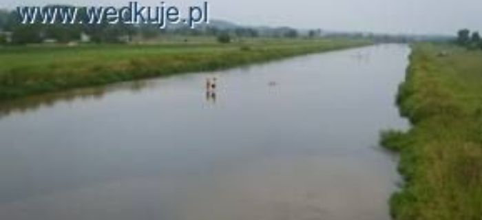 Łowienia! Przepływanka i Przystawka!