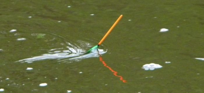 Spławiki wędkarskie – sygnalizacja brań