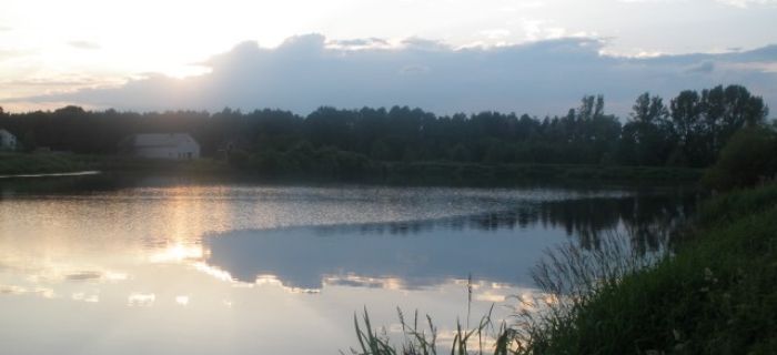 Zalew w Bełchowie