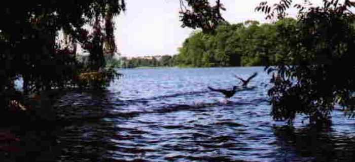 Jezioro Chrzypsko Wielkie