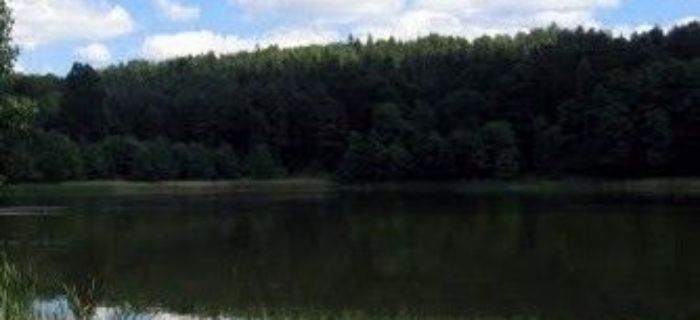 Jezioro Rzepnica