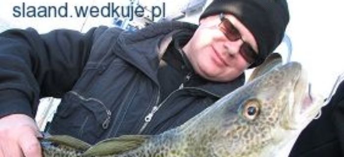 Jak złowić dorsza oto jest pytanie