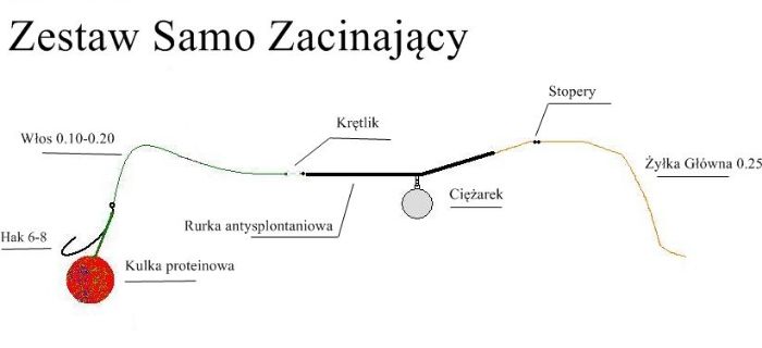 Sprzęt dla początkującego karpiarza