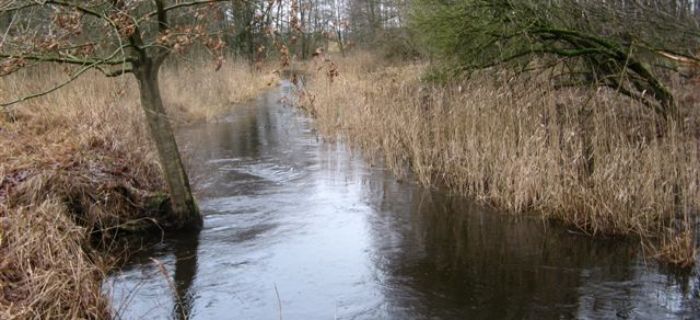 Pstrągowanie – jak zacząć? Cz.II Wybór łowiska oraz zasady zachowania nad nim