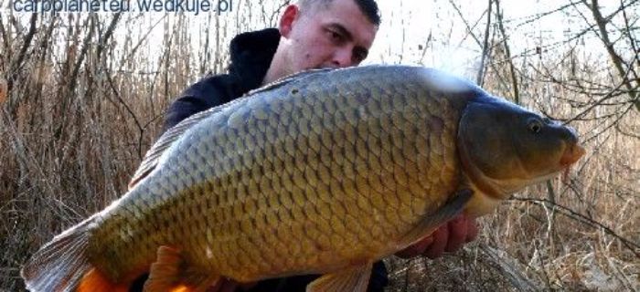 Testerzy firmy Natural Bait rozpoczęli sezon