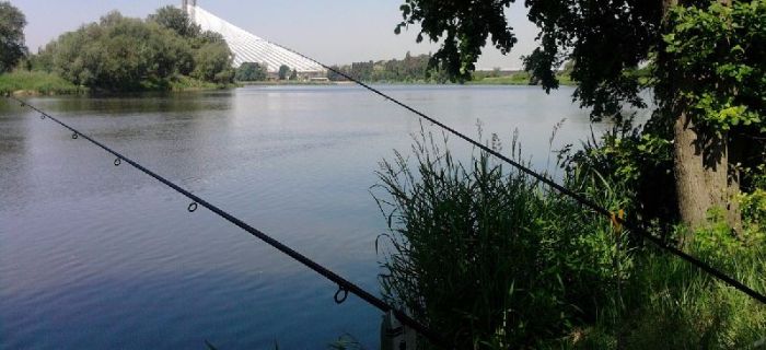 Rzeka Odra na odcinku Osobowice - Śluza Rędzin