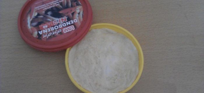 Ciasto wędkarskie jeden z wielu sposobów - prosto i szybko