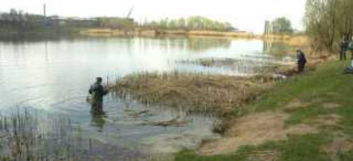 Zalew w Kozłowie / Boryszewie (Sochaczew)