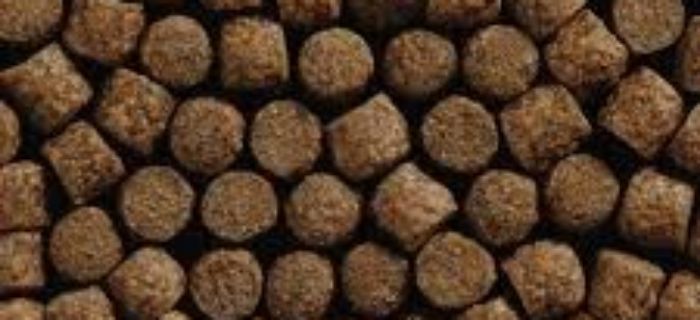 Przepis na pellet karpiowy