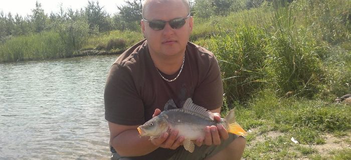 Małe bąki