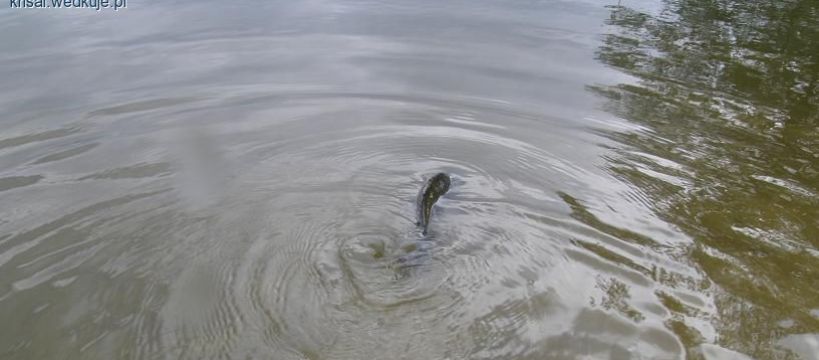 Wędkarskie jesienne dylematy
