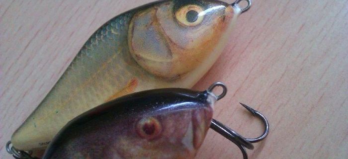 Rapala X na szczupaki i okonie