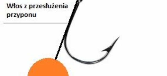 Metoda włosowa